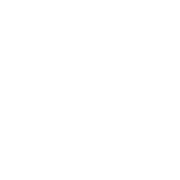 Deutscher Verkehrsgerichtstag Logo. Leistungen. – INGENIEURBÜRO GELBE UND KOLLEGEN GmbH